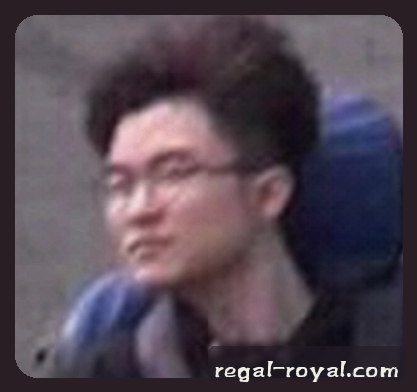 赵哥