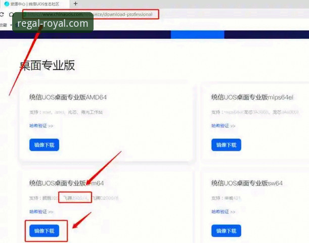 皇家国际App下载安装教程 皇家国际App下载安装教程:最新版实用指南,三步搞定正版体验